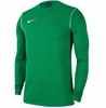 Picture of Bluza Nike Park 20 Crew Top FJ3004-302