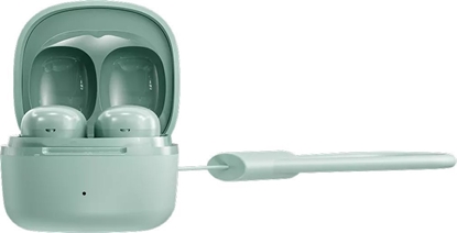 Picture of CANYON CNS-TWS4GR