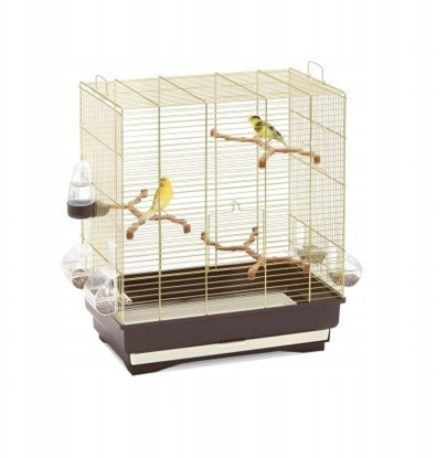 Picture of Carlotta, klatka, dla ptakw, zoto/brzowa, 50x30x56 cm
