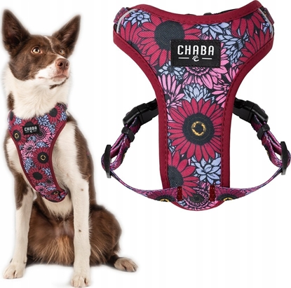 Изображение Chaba CHABA SZELKI GUARD COMFORT  STORY ``L``   LAKOTA 2,0/42-56cm