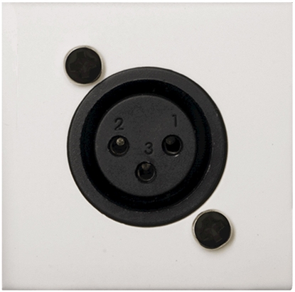 Picture of cienny modu AUDAC WMI18/W, XLR mic biay