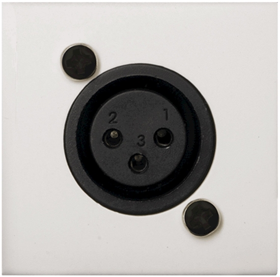 Picture of cienny modu AUDAC WMI18/W, XLR mic biay