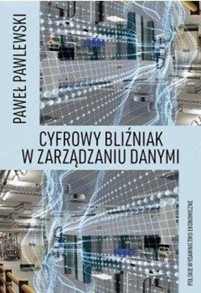 Picture of Cyfrowy bliniak w zarzdzaniu danymi EDUKAMP