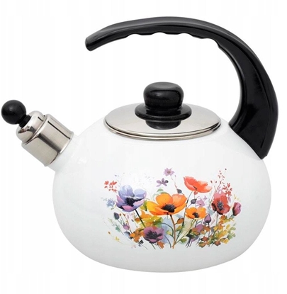 Picture of CZAJNIK NIEELEKYTYCZNY OD 2393 EMALIA MAKI 2.2 L