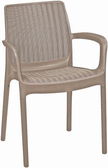 Picture of Darza armchair Bali Mono bess 7290106927209