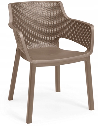 Picture of Darza armchair Eva bess 8711245148557