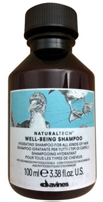 Изображение Davines Natural Tech Well-Being Shampoo 100 ml