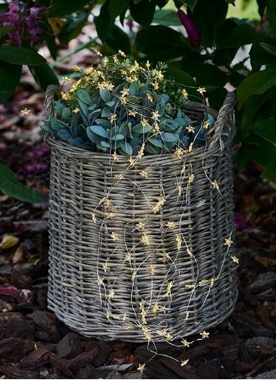 Picture of Dekoracja witeczna Nebbia Sirius Trille Star 125L, Clear/Silver