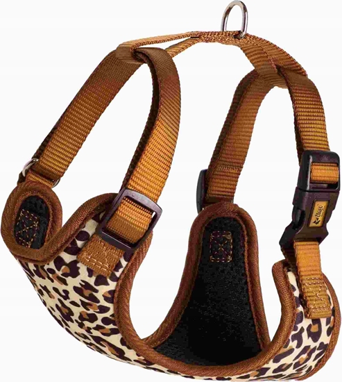 Picture of Dingo DINGO SZELKI BEZUCISKOWE L 2,0cm/49-69cm  LEOPARD