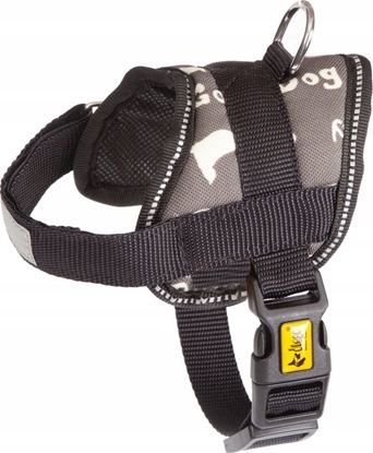 Attēls no Dingo DINGO SZELKI STRONG AMERICA 37/49cm NEVADA