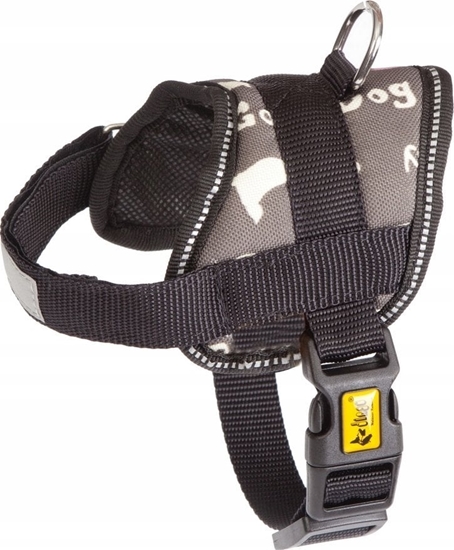 Picture of Dingo DINGO SZELKI STRONG AMERICA 37/49cm NEVADA