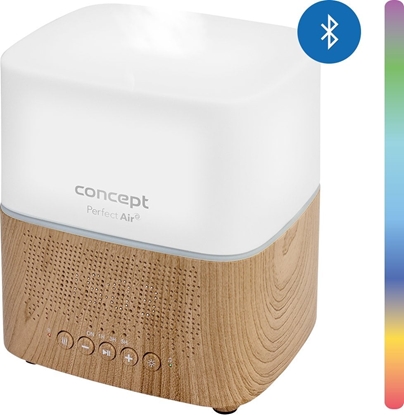 Изображение Dyfuzor zapachowy Concept Dyfuzor zapachu Perfect Air Light Wood DF2010