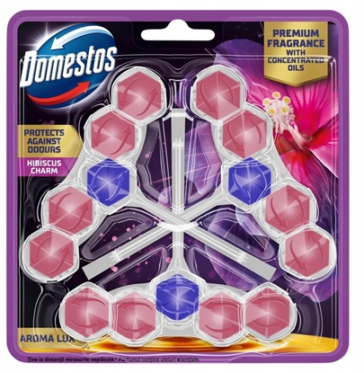 Изображение DOMESTOS Kostka toaletowa Aroma Lux Hibiscus Oil & Wild Berries 2 x 55 g