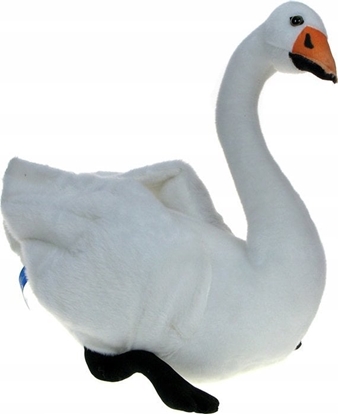 Attēls no Dubi abd 40cm