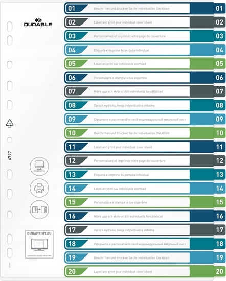 Picture of Durable Durable 679727 zakadka do kart Pusta zakadka Polipropylen (PP) Wielobarwny
