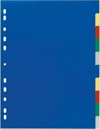 Picture of Durable DURABLE Ordnerregister blanko 2x5fbg überbreit 10Bl