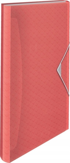 Изображение Esselte Teczka 6 przegr�d Esselte C'B koral