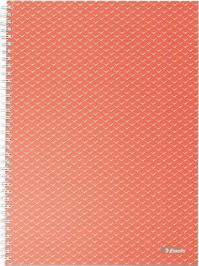 Picture of Esselte Zeszyt Colour'Breeze A4 squared coral