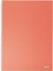 Picture of Esselte Zeszyt Colour'Breeze A4 squared coral