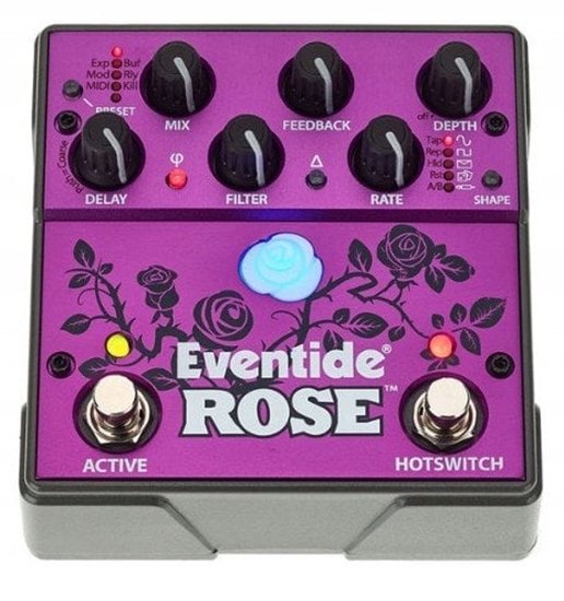Изображение Eventide Rose