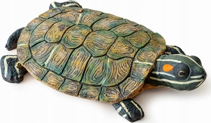 Picture of Exo Terra Pywajca wyspa - ów, 23 x 14 x 5 cm