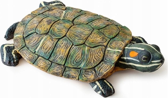 Picture of Exo Terra Pywajca wyspa - ów, 23 x 14 x 5 cm