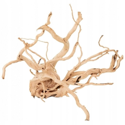 Изображение Ga drewniana Lelei do 200 cm