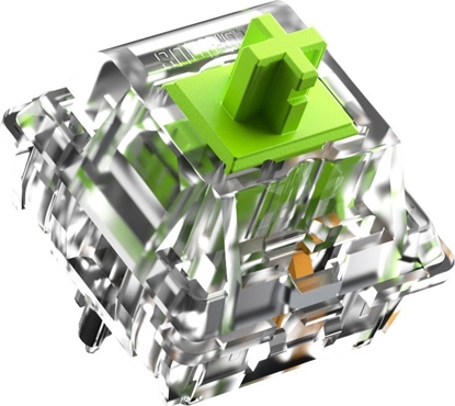 Attēls no Glorious Glorious Raptor Standard Switch, mechanisch, 5-Pin, clicky, MX-Stem, 55g - lubed, 36 Stck