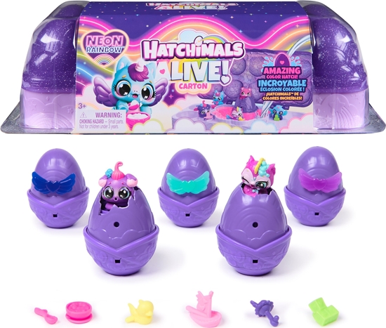 Picture of HATCHIMALS Alive playset Neon Rainbow Carton