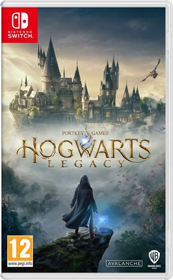Изображение Hogwarts Legacy Switch