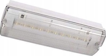 Изображение Intelight Oprawa awaryjna LED Intelight Orion MT INLEWA 91895/41628 10xLED 4W 104lm 3h SA/A IP65