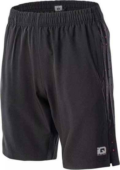 Изображение IQ Mskie Spodenki PORIO