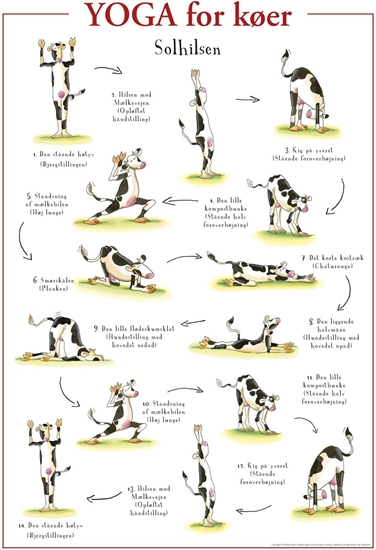 Picture of Yoga for køer PLAKAT