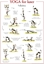 Picture of Yoga for køer PLAKAT