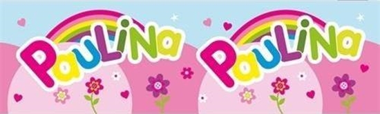 Picture of John Hinde Bidon 300ml Paulina