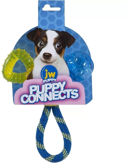 Picture of JW Puppy Connects