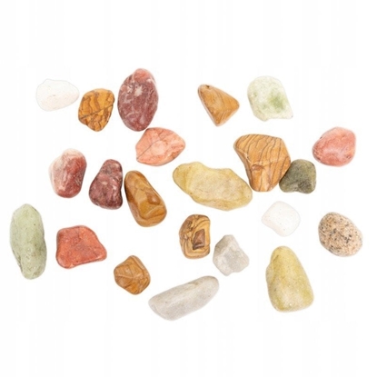Attēls no Kamienie polerowane Multicolor Pebble 10-20 mm  do akwarium terrarium 5kg/OPAK