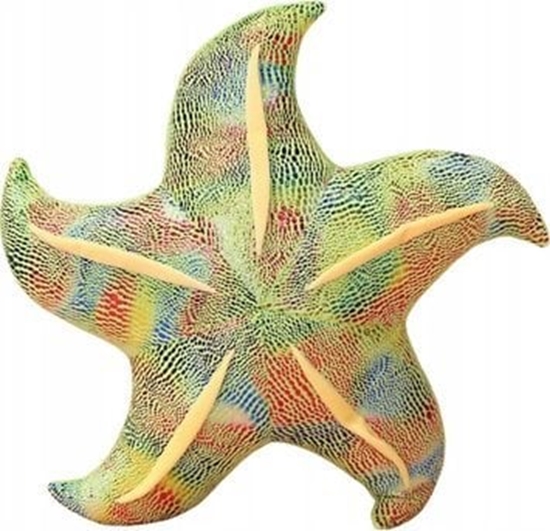 Picture of LeanToys Maskotka Pluszowa Rozgwiazda Zielona Poduszka 20 cm