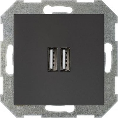 Attēls no Liregus IUK-2-01.R/ON59 USB CHARGER