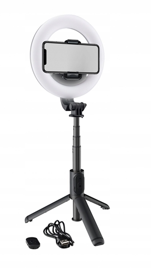 Изображение Mackie MRING-6 - Piercie LED