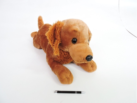 Picture of Madej Pies Golden 60cm lecy 010746 73036