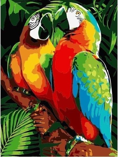 Picture of Malowanie po numerach - 30x40cm Papugi