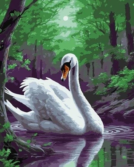 Изображение Malowanie po numerach - Magiczny abd 40x50cm