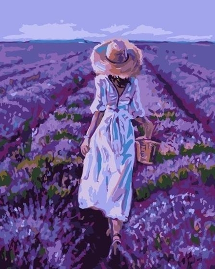 Picture of Malowanie po numerach - Pole lawendy 40x50cm