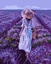 Picture of Malowanie po numerach - Pole lawendy 40x50cm