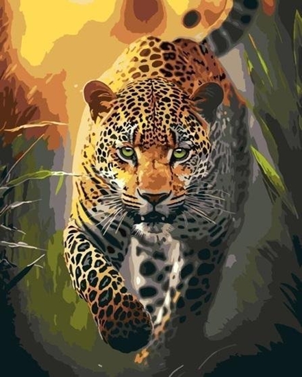 Picture of Malowanie po numerach - Wdziku drapienika 40x50