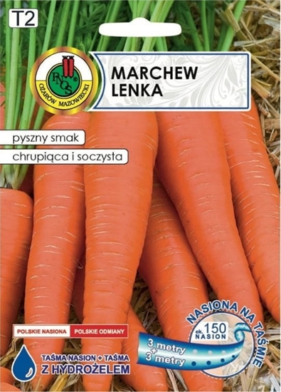 Picture of Marchew LENKA tama 6m Plenno trwao i wyjtkowy smak