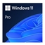 Attēls no Microsoft Win 11 Pro 64Bit Eng Intl 1pk DSP OEI DVD