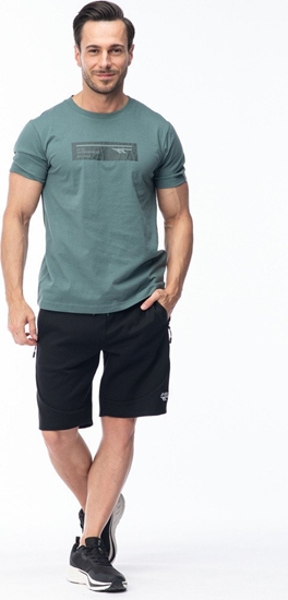 Picture of Mska Koszulka z krótkim rkawem HAMILONI