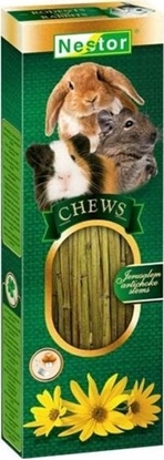 Picture of Nestor NESTOR CHEWS ODYGI TOPINAMBURU GRYZO     /10